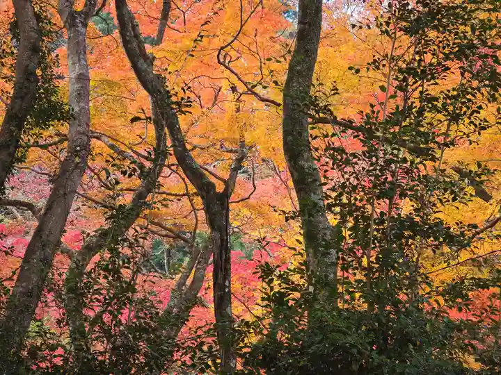 大威徳寺(大阪府)