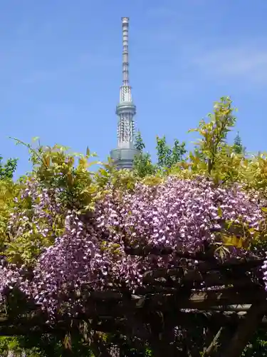 亀戸天神社(東京都)