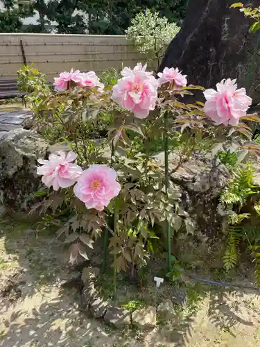 東光院(大阪府)