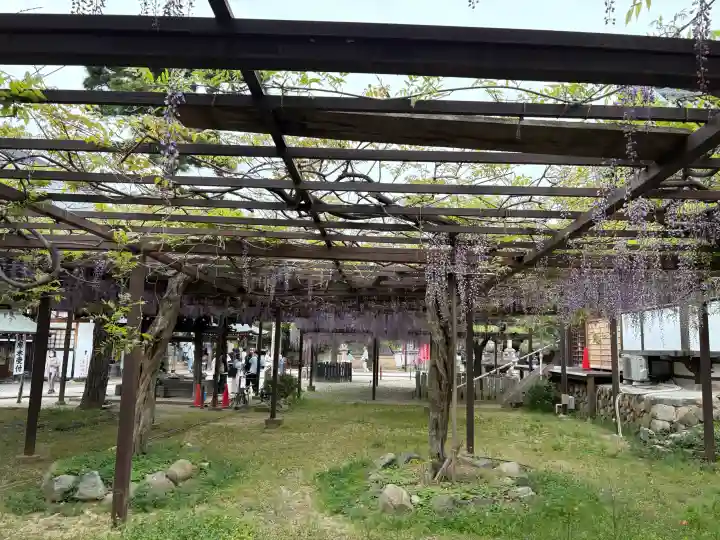 葛井寺の{uncategorized: "未分類", other: "その他", undefined: "問題あり", building: "その他建物", grave: "お墓", sacred_gate: "鳥居", guardian: "狛犬", statue: "像", buddha: "仏像", history: "歴史", nature: "自然", garden: "庭園", animal: "動物", pagoda: "塔", temizu: "手水舎", mountain_gate: "山門・神門", sanctuary: "本殿・本堂", subordinate: "末社・摂社", art: "芸術", scenery: "景色", jizo: "地蔵", ema: "絵馬", goshuin: "御朱印", omikuji: "おみくじ", items: "授与品その他", amulet: "お守り", goshuincho: "御朱印帳", eats: "食事", festival: "お祭り", votive_dance: "神楽", shichigosan: "七五三参", wedding: "結婚式", experience: "体験その他", initially: "初詣", around: "周辺", anti_infection: "感染症対策"}