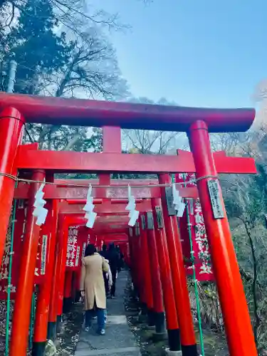 佐助稲荷神社の鳥居