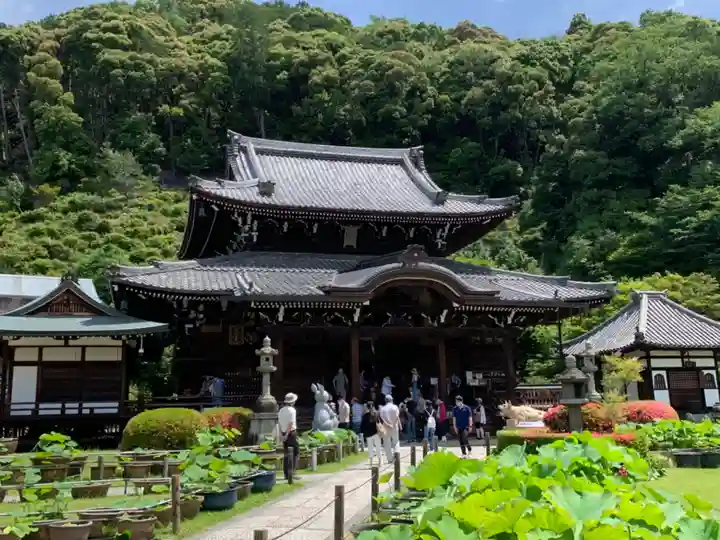 三室戸寺の本殿・本堂