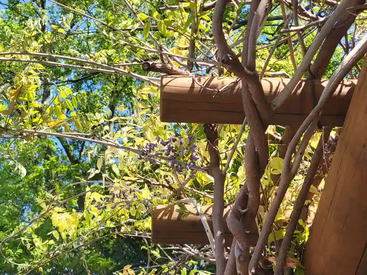 日招八幡大神社(愛媛県)