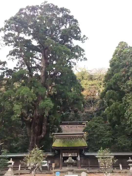若狭姫神社(若狭彦神社下社)のその他建物