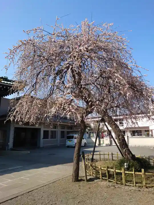 宗仲寺(神奈川県)