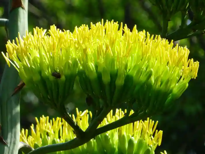 烏森神社(東京都)