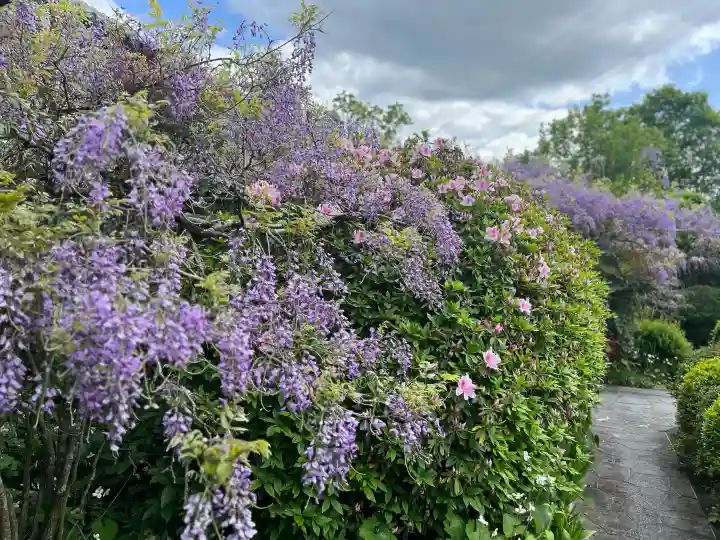 子安地蔵寺の{uncategorized: "未分類", other: "その他", undefined: "問題あり", building: "その他建物", grave: "お墓", sacred_gate: "鳥居", guardian: "狛犬", statue: "像", buddha: "仏像", history: "歴史", nature: "自然", garden: "庭園", animal: "動物", pagoda: "塔", temizu: "手水舎", mountain_gate: "山門・神門", sanctuary: "本殿・本堂", subordinate: "末社・摂社", art: "芸術", scenery: "景色", jizo: "地蔵", ema: "絵馬", goshuin: "御朱印", omikuji: "おみくじ", items: "授与品その他", amulet: "お守り", goshuincho: "御朱印帳", eats: "食事", festival: "お祭り", votive_dance: "神楽", shichigosan: "七五三参", wedding: "結婚式", experience: "体験その他", initially: "初詣", around: "周辺", anti_infection: "感染症対策"}