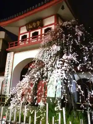 成願寺(東京都)