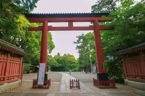 武蔵一宮氷川神社の鳥居