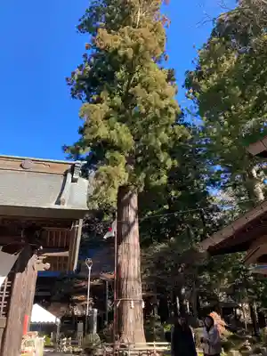 河口浅間神社(山梨県)