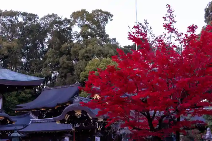 今宮神社(京都府)