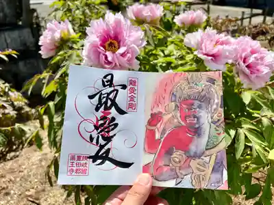 真言宗　善通寺派　薬王寺(香川県)