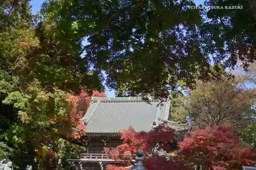 高尾山薬王院の本殿・本堂