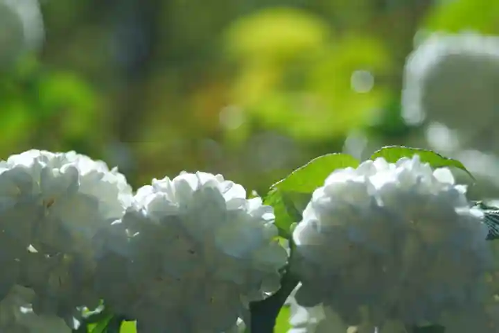 詩仙堂(丈山寺)(京都府)
