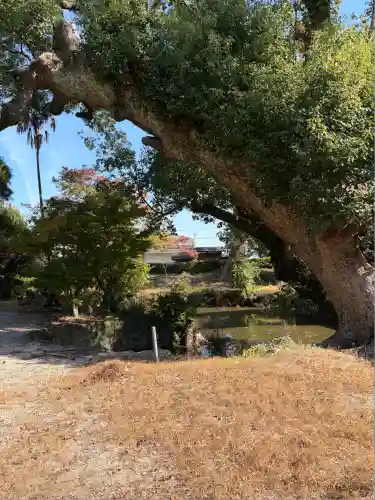 高伝寺(佐賀県)