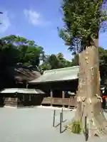 宗像大社中津宮の本殿・本堂