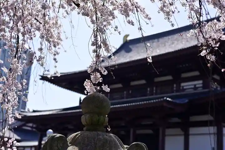 増上寺の本殿・本堂