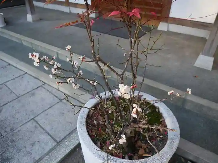 平塚神社のその他建物