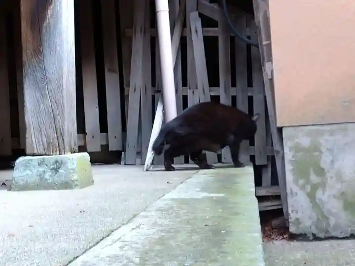 宇多須神社(石川県)