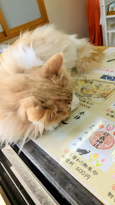 駒込妙義神社の動物