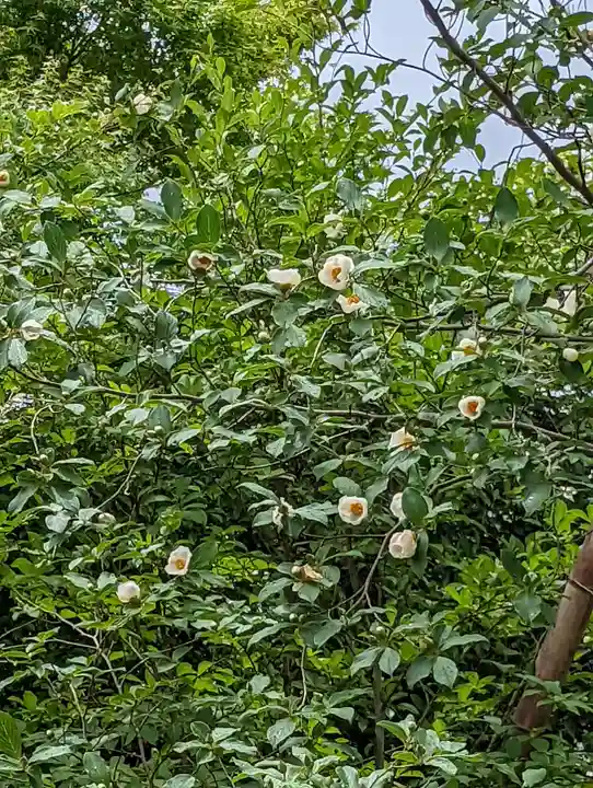 東林院(京都府)