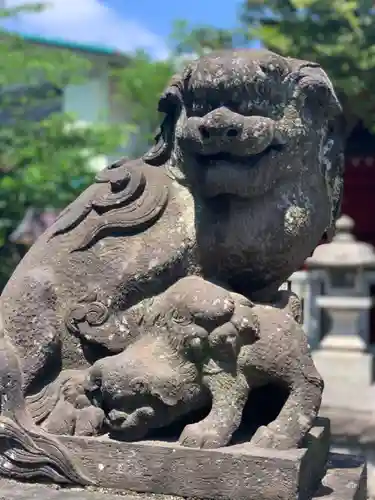 （芝生）浅間神社の狛犬