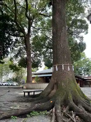星川杉山神社(神奈川県)