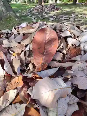 厚別神社(北海道)