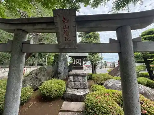 白山神社(埼玉県)