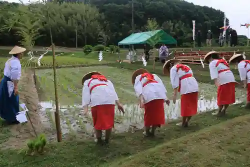 高屋敷稲荷神社のお祭り