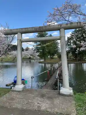 厳島神社(市塙)の鳥居
