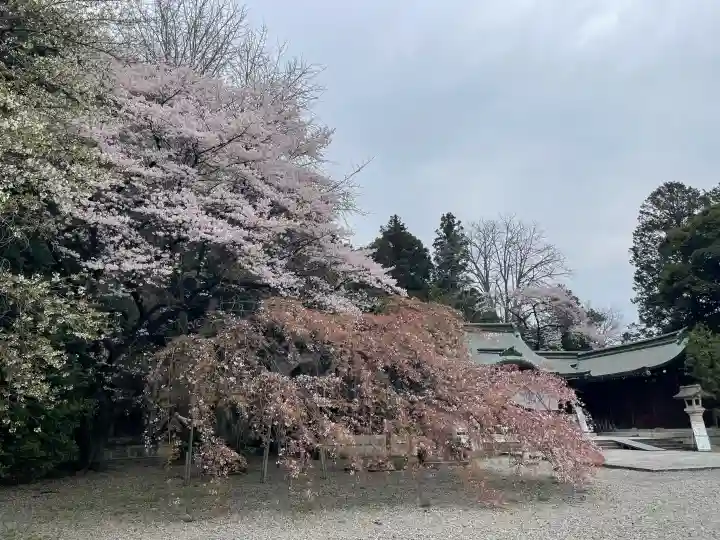 栃木縣護國神社の{uncategorized: "未分類", other: "その他", undefined: "問題あり", building: "その他建物", grave: "お墓", sacred_gate: "鳥居", guardian: "狛犬", statue: "像", buddha: "仏像", history: "歴史", nature: "自然", garden: "庭園", animal: "動物", pagoda: "塔", temizu: "手水舎", mountain_gate: "山門・神門", sanctuary: "本殿・本堂", subordinate: "末社・摂社", art: "芸術", scenery: "景色", jizo: "地蔵", ema: "絵馬", goshuin: "御朱印", omikuji: "おみくじ", items: "授与品その他", amulet: "お守り", goshuincho: "御朱印帳", eats: "食事", festival: "お祭り", votive_dance: "神楽", shichigosan: "七五三参", wedding: "結婚式", experience: "体験その他", initially: "初詣", around: "周辺", anti_infection: "感染症対策"}