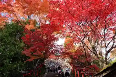 鞍馬寺(京都府)