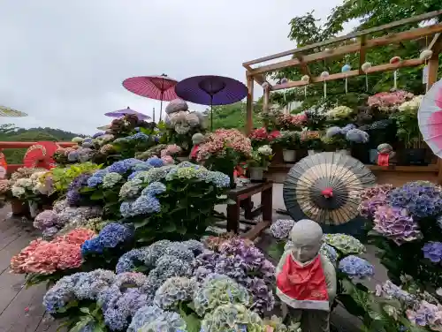 南法華寺（壷阪寺）(奈良県)
