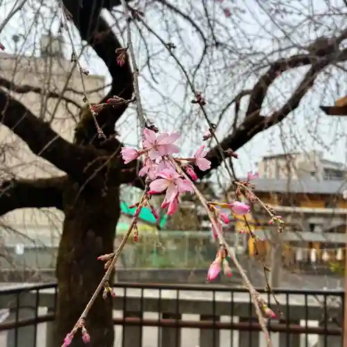 根岸八幡神社(神奈川県)