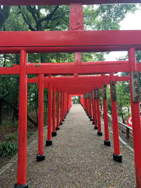 彌都加伎神社の鳥居