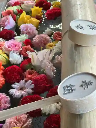 群馬県護国神社(群馬県)