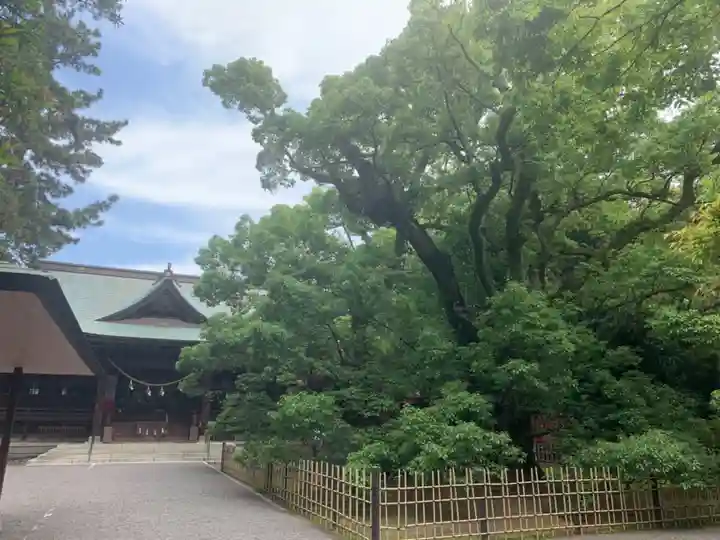 浜松八幡宮の自然