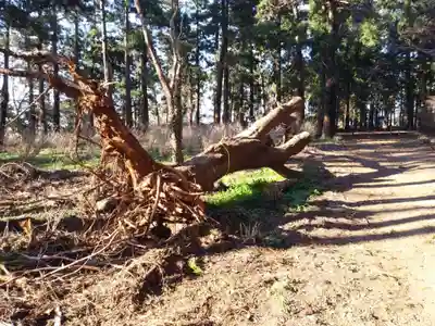 稲荷神社の自然