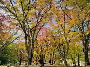 土津神社|こどもと出世の神さま(福島県)(2024年11月09日(土) 09時43分31秒投稿)