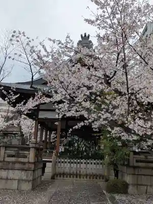 天孫神社(滋賀県)