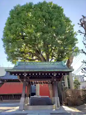 麻布氷川神社の手水舎