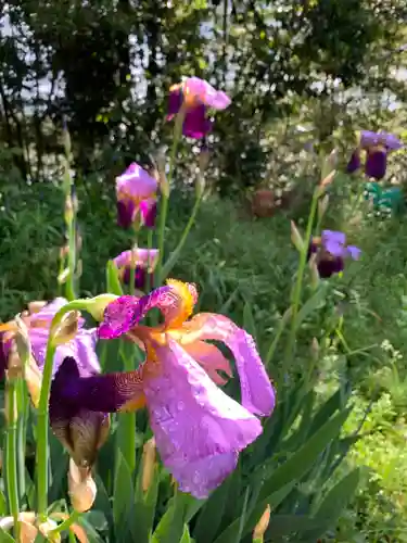 牟禮山観音禅寺の庭園