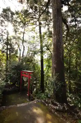 轟神社(徳島県)