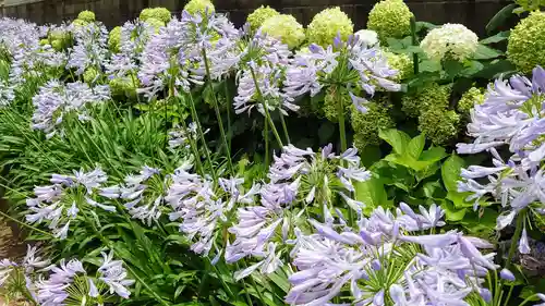 日吉八王子神社の自然