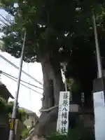 篠原八幡神社(神奈川県)