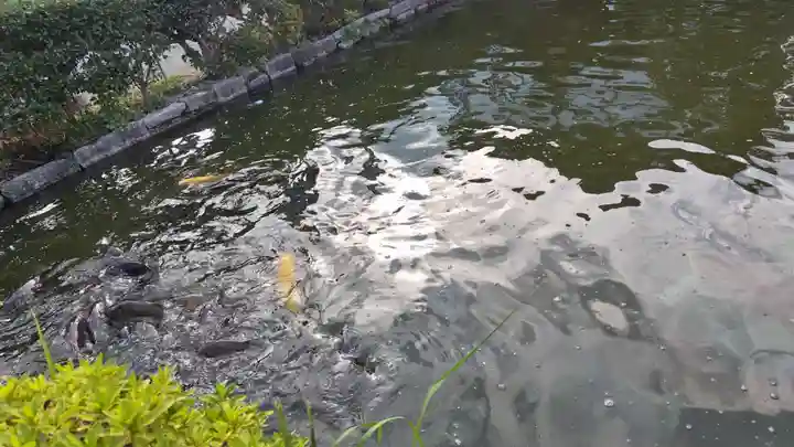 神泉苑(京都府)