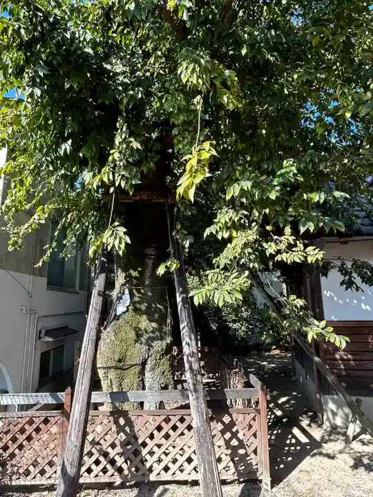 聖山稲生神社(広島県)