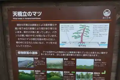 天橋立神社の歴史