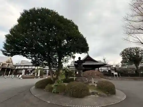 寛永寺(根本中堂)の{uncategorized: "未分類", other: "その他", undefined: "問題あり", building: "その他建物", grave: "お墓", sacred_gate: "鳥居", guardian: "狛犬", statue: "像", buddha: "仏像", history: "歴史", nature: "自然", garden: "庭園", animal: "動物", pagoda: "塔", temizu: "手水舎", mountain_gate: "山門・神門", sanctuary: "本殿・本堂", subordinate: "末社・摂社", art: "芸術", scenery: "景色", jizo: "地蔵", ema: "絵馬", goshuin: "御朱印", omikuji: "おみくじ", items: "授与品その他", amulet: "お守り", goshuincho: "御朱印帳", eats: "食事", festival: "お祭り", votive_dance: "神楽", shichigosan: "七五三参", wedding: "結婚式", experience: "体験その他", initially: "初詣", around: "周辺", anti_infection: "感染症対策"}